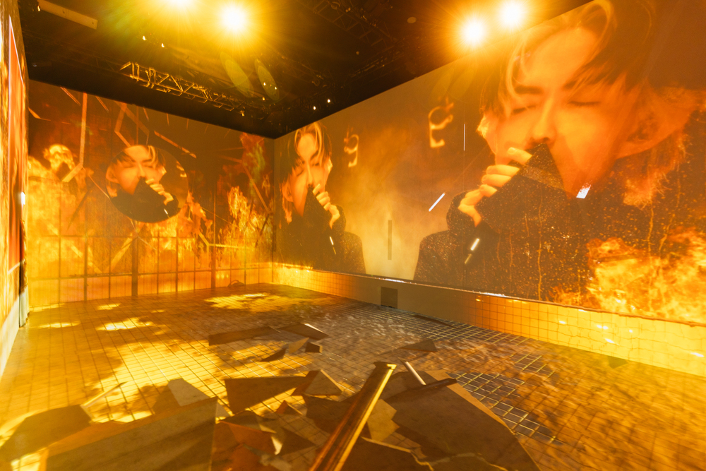 北流常設展演唱會展區－林宥嘉《idol世界巡迴演唱會》